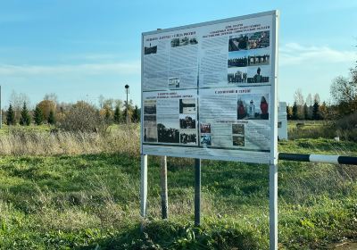 Бокситогорський район