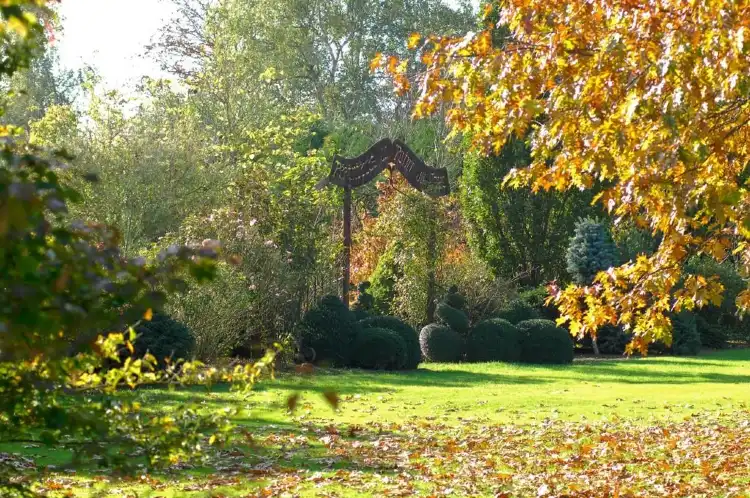 Hotels in Verdelot