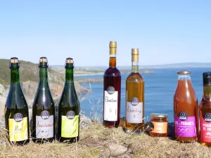 Cider house Rozavern