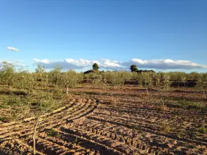 La Roca de los Moros