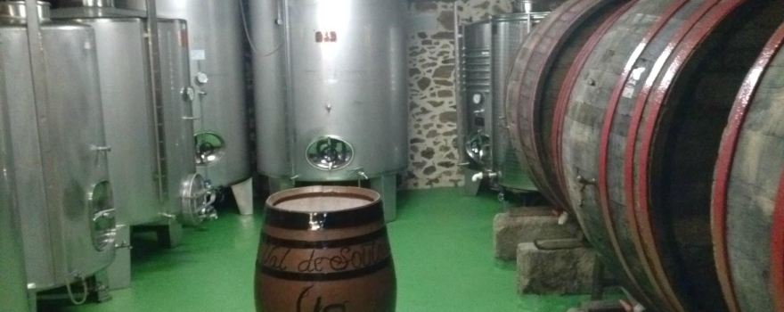 Bodegas Val de Souto