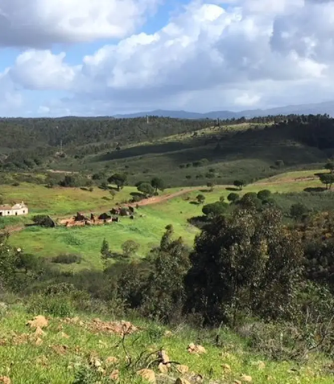 Burgau