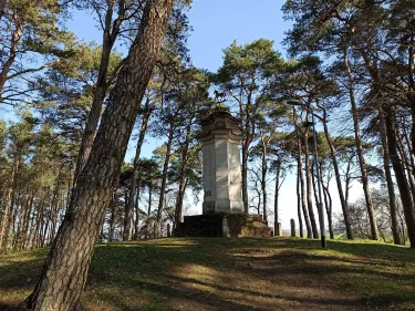 Wagrowiec