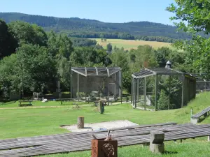 Falknerei Greifvogelpark
