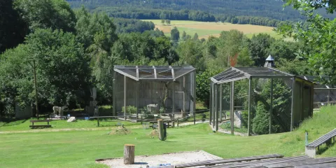 Falknerei Greifvogelpark