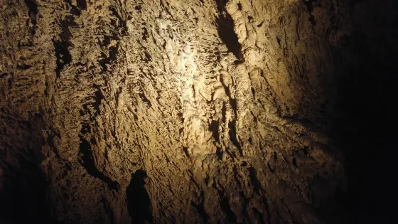 Anna Cave