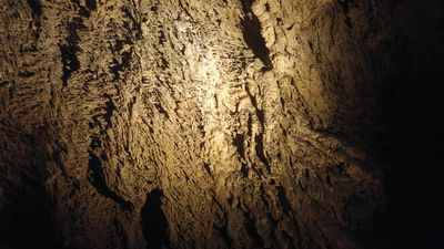 Anna Cave