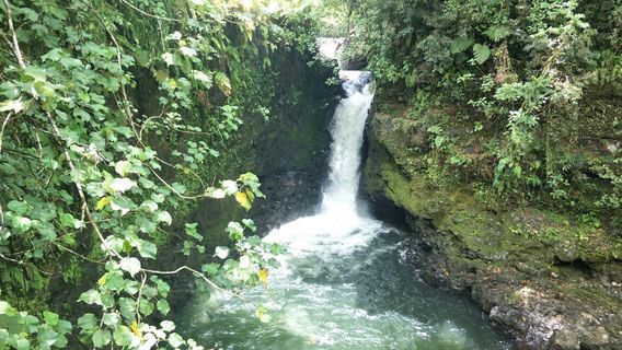 Waterfall Sauniatu