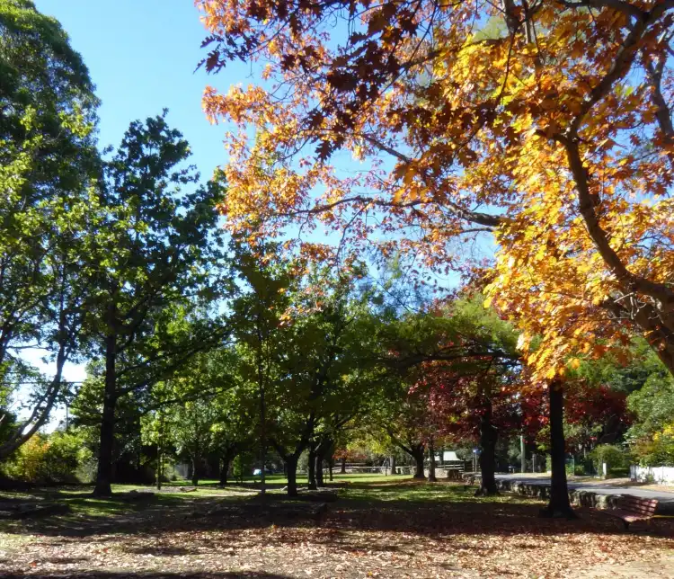 Hotels in Faulconbridge
