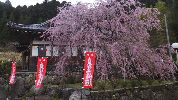 Nichirenshu Myoryu Temple