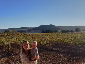 Bodegas Baden Numen S.L.