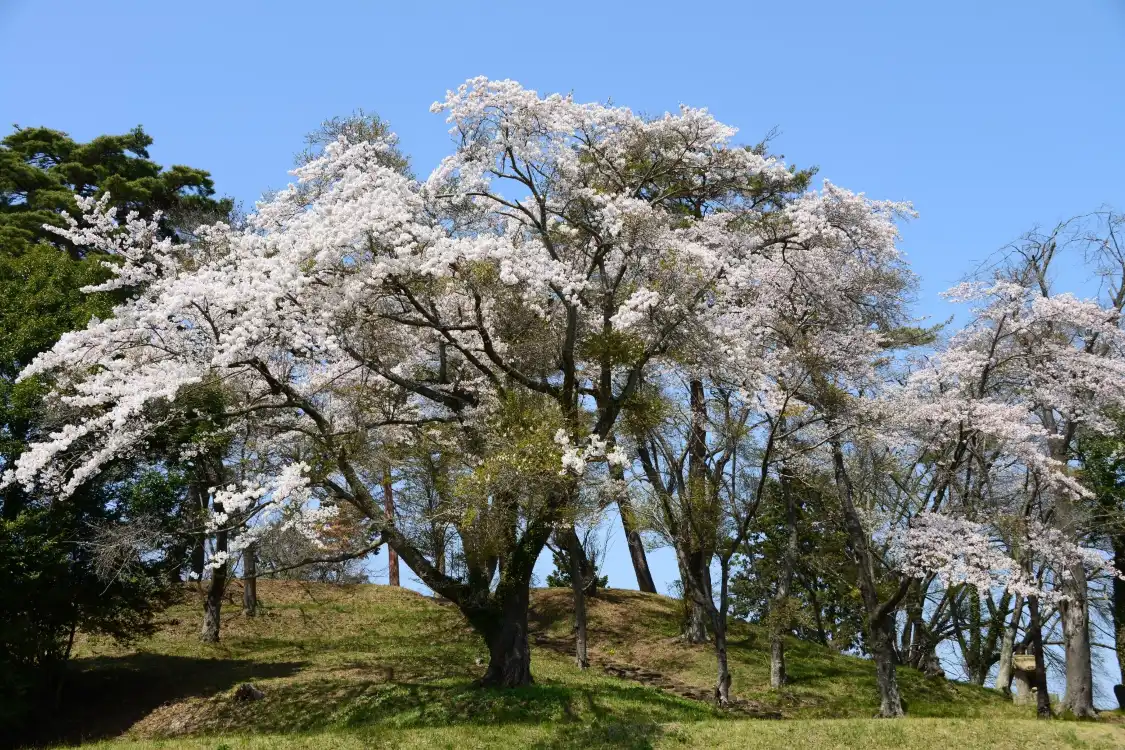Hotels near Raijin Yamakofun