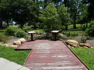 Timrod Park
