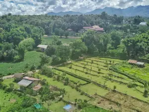 Pai bamboo mini golf