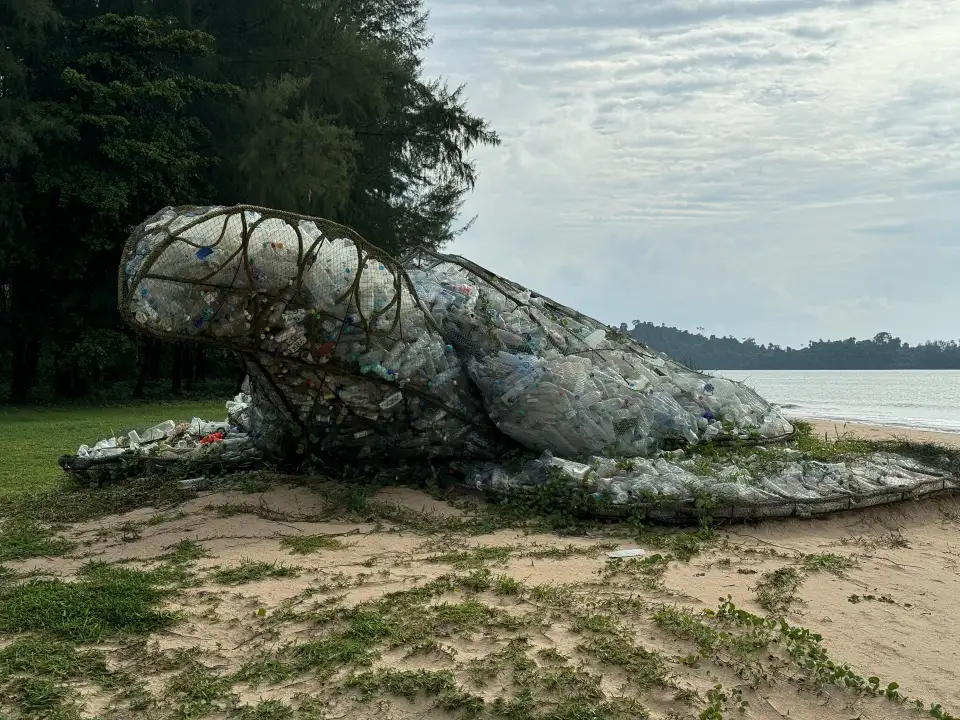4_Royal Thai Navy Third Fleet Sea Turtle Nursery - Phang Nga