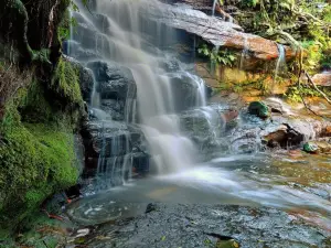 Somersby Waterfalls and Picnic Area
