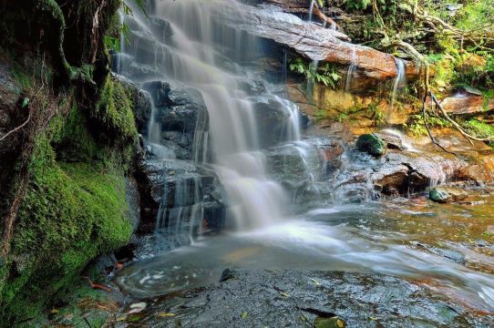 Somersby Falls Picnic Area