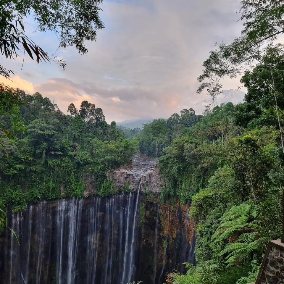 5_Java Adventure Trail