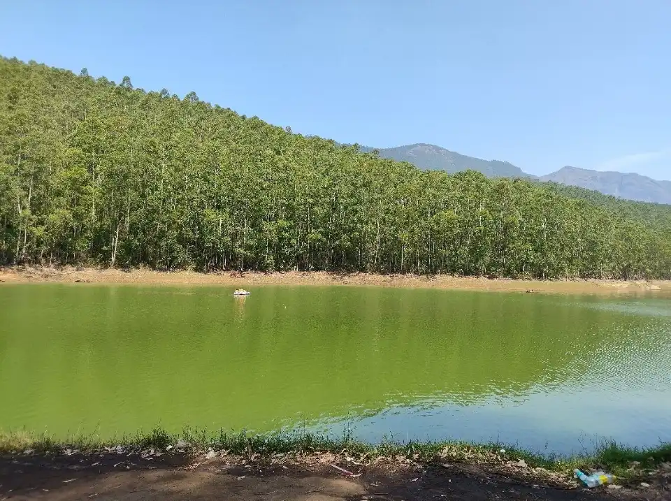 3_ECHO point Munnar