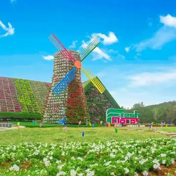 Hotels near Cau Dat Tea Hill