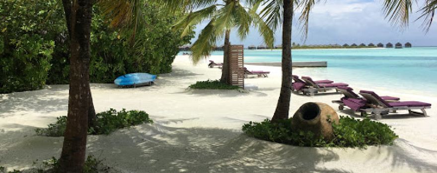 Dhigu