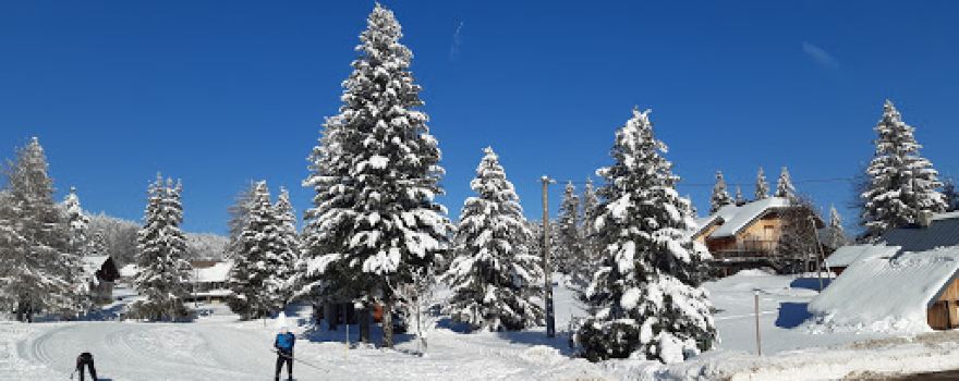 Chalet Les Oisillons