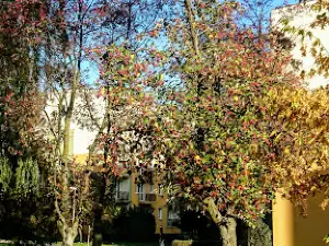 Park Broniewskiego