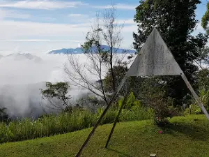 Kalimantan View Point