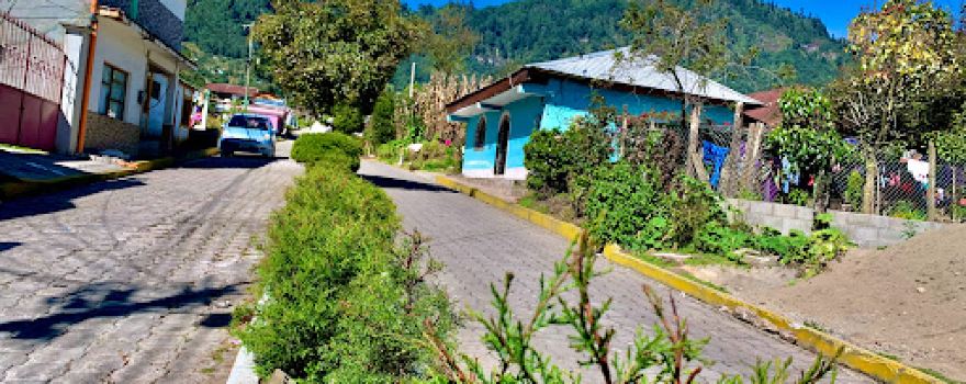 Calzada ecológica Ortíz