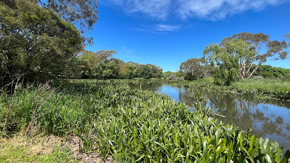 Camperdown