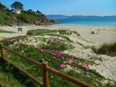 Canelas, Sanxenxo