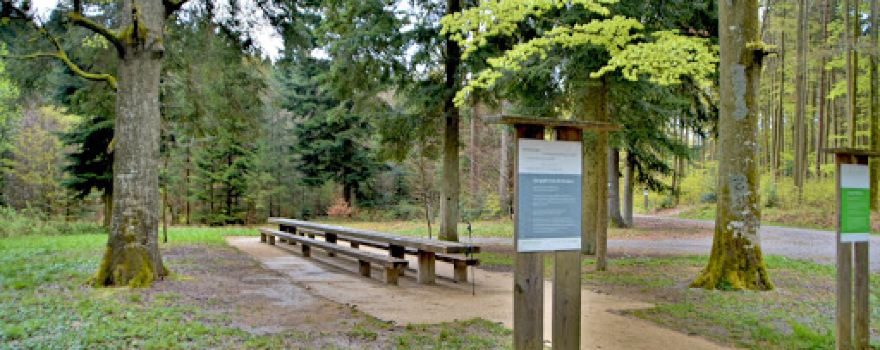 Weiterweg