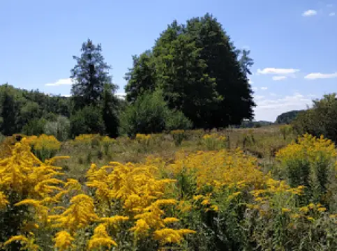 Tyubinh Park Vinnytsya