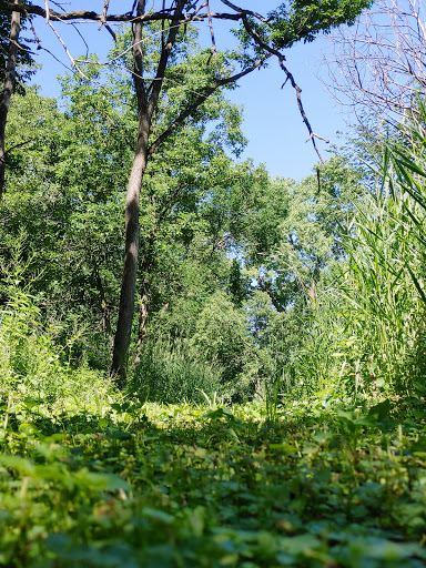 Buena Vista County Park