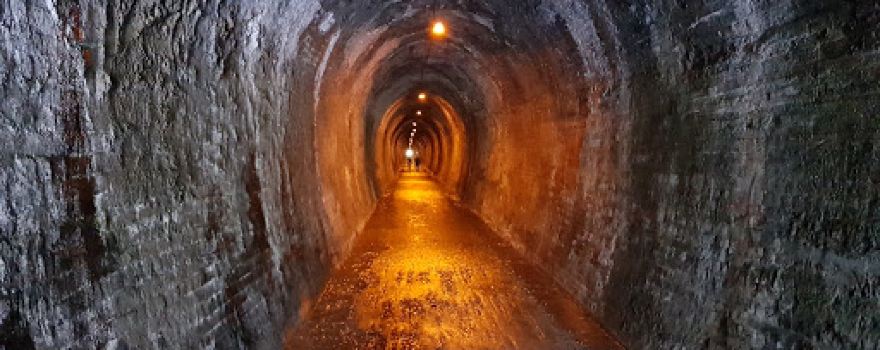 The Crown Mines