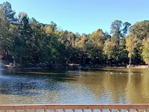 Парк Грейс стрит