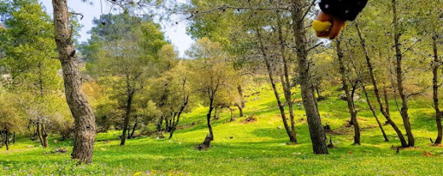 Zay National Park