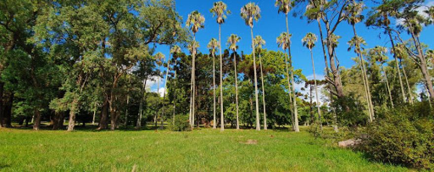 Casco Estancia Santa Rosa