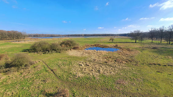 Uitkijkpost Weerterbos