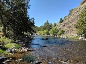 Sawmill Campground