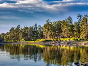 Sitgreaves National Forest
