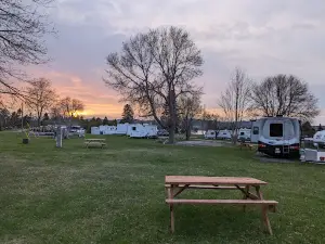 Blue Heron Camping