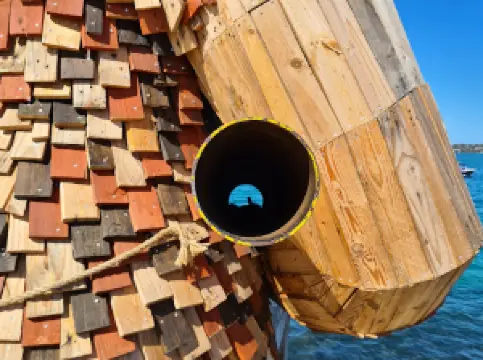 Giants of Mandurah (Seba’s Song)