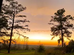 Hannahatchee Creek WMA
