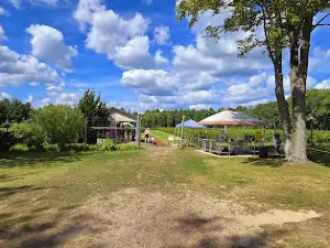 Tawas Blueberry Farm