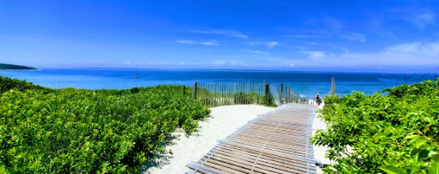 Lambert's Cove Beach