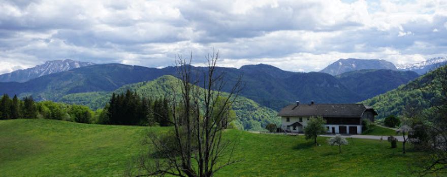 Kapler Alm