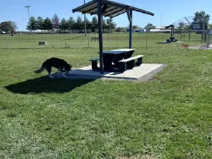 Perryville Dog Park
