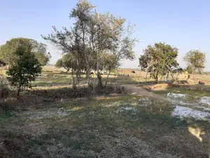Event Trendy River Side Camping