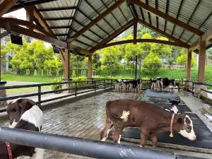 Dairyland Farm Theme Park Puncak